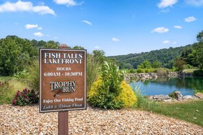 Property grounds - Branson Cabin • Hot Tub • Quiet Setting  Near Lake Taneycomo • Sleeps 8 (Hollister)