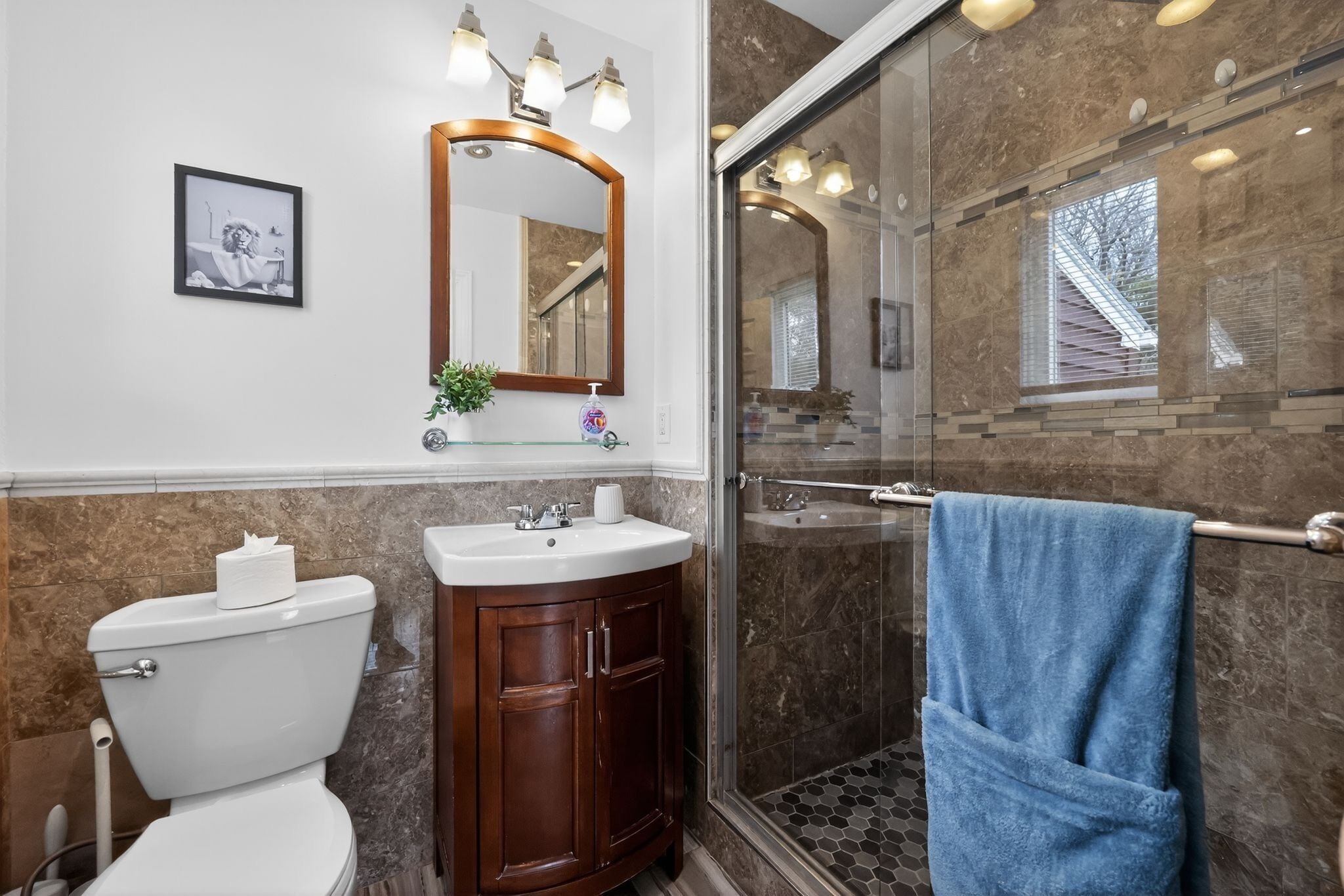 Shower, towels, toilet paper
