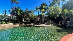 Pool - Stylish Renovated Studio, Heart of Macrossan (Port Douglas)