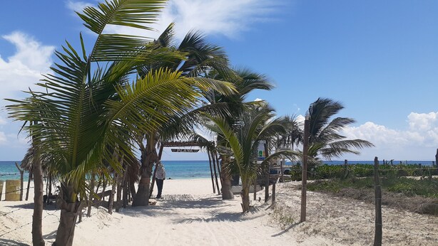 A beach path lined with palm trees leading to a beach area with a sign that reads "PLAY". - Bleu Balam • Quiet • Pool • Zazil-Ha • 1 Block to 5th Ave (Playa del Carmen)