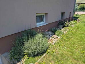 Edificio con jardín que presenta varias plantas y una ventana pequeña.