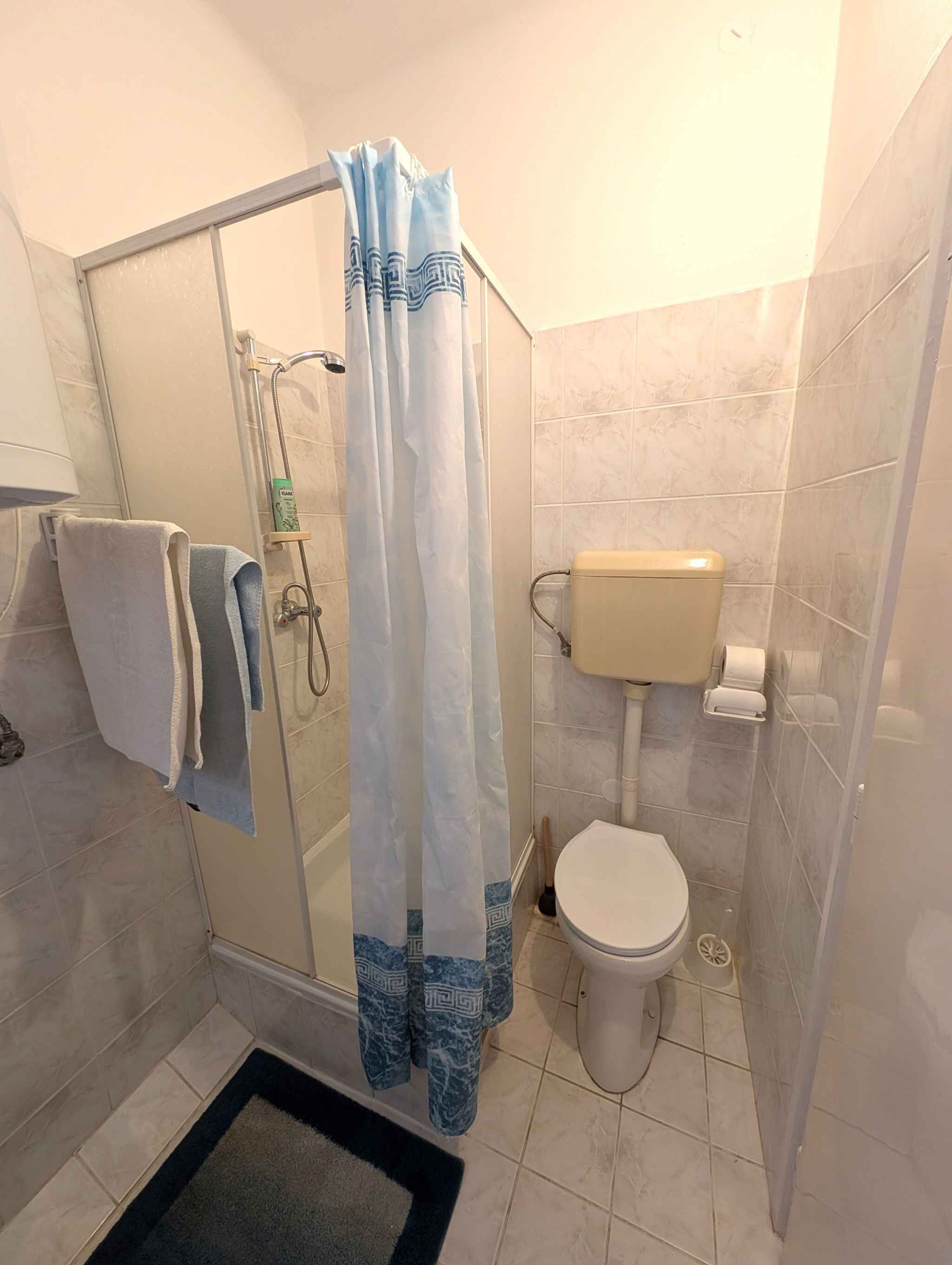 A bathroom with a glass shower enclosure, a toilet, and a towel rack.