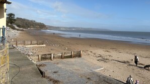 Uklassifisert bilde, 2 av 17, knapp