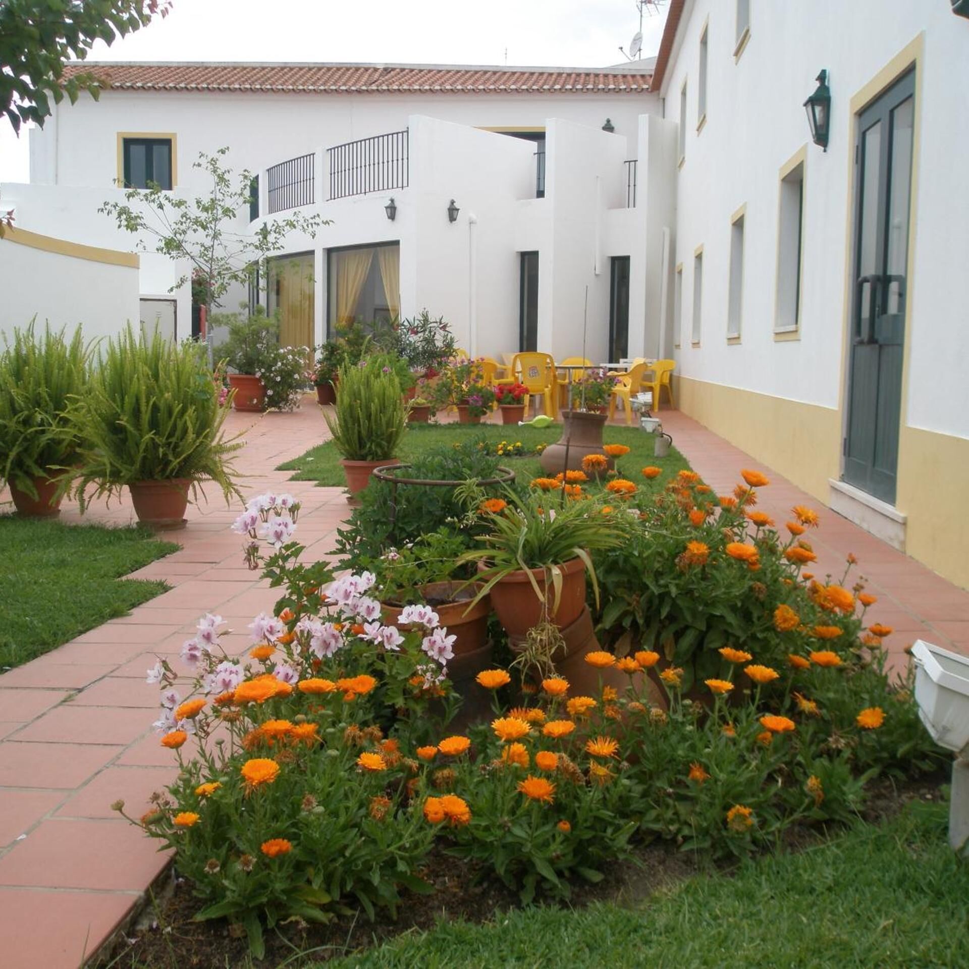 Terras