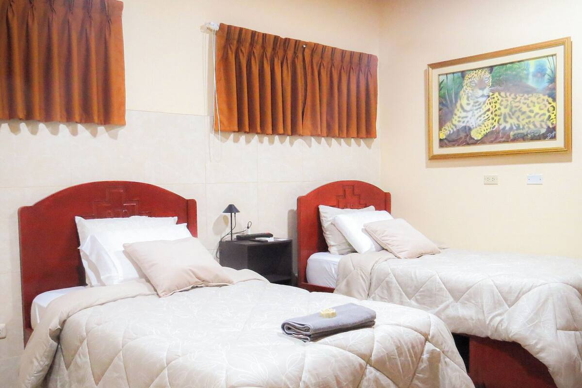 Habitación de hotel con dos camas, un cuadro de un leopardo y un equipo de aire acondicionado.