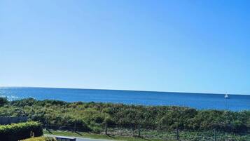 A coastal view with a clear sky, a body of water, and a distant sailboat.