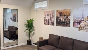 Smart TV, fireplace, books