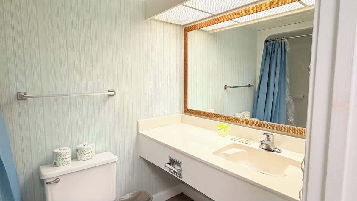 A bathroom with a toilet, sink, mirror, and a shower curtain.