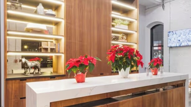Una moderna reception con mobiletti in legno e un piano di lavoro bianco, affiancata da mensole con oggetti decorativi e piante in vaso.