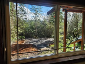 A view through a window of a forested area with a dirt path, a grill, and a wooden deck. - Private Evergreen Hideaway (Sequim)