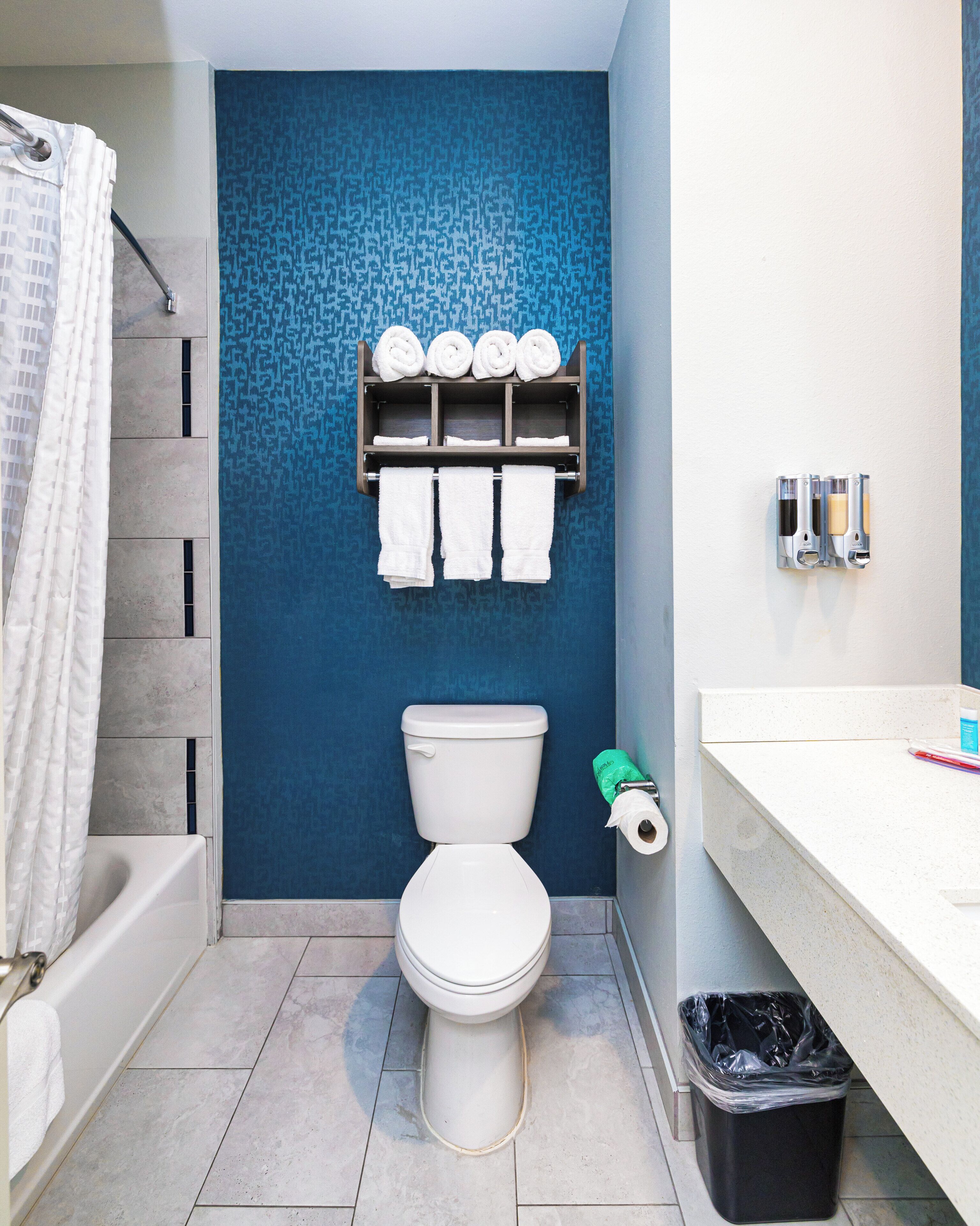 Habitación Deluxe doble | Baño | Artículos de higiene personal gratuitos, secador de pelo y toallas