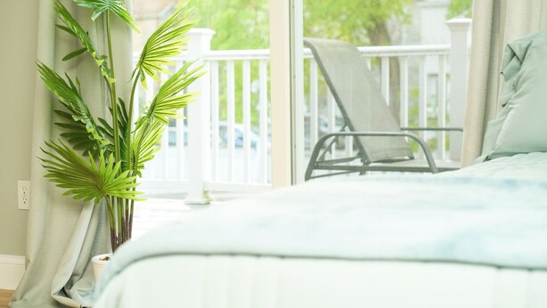 A bedroom with a bed, a potted plant, a chair, and a view of the outside.