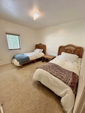 Une chambre avec deux lits simples, une fenêtre donnant sur des arbres, un luminaire au plafond et un sol recouvert de moquette.