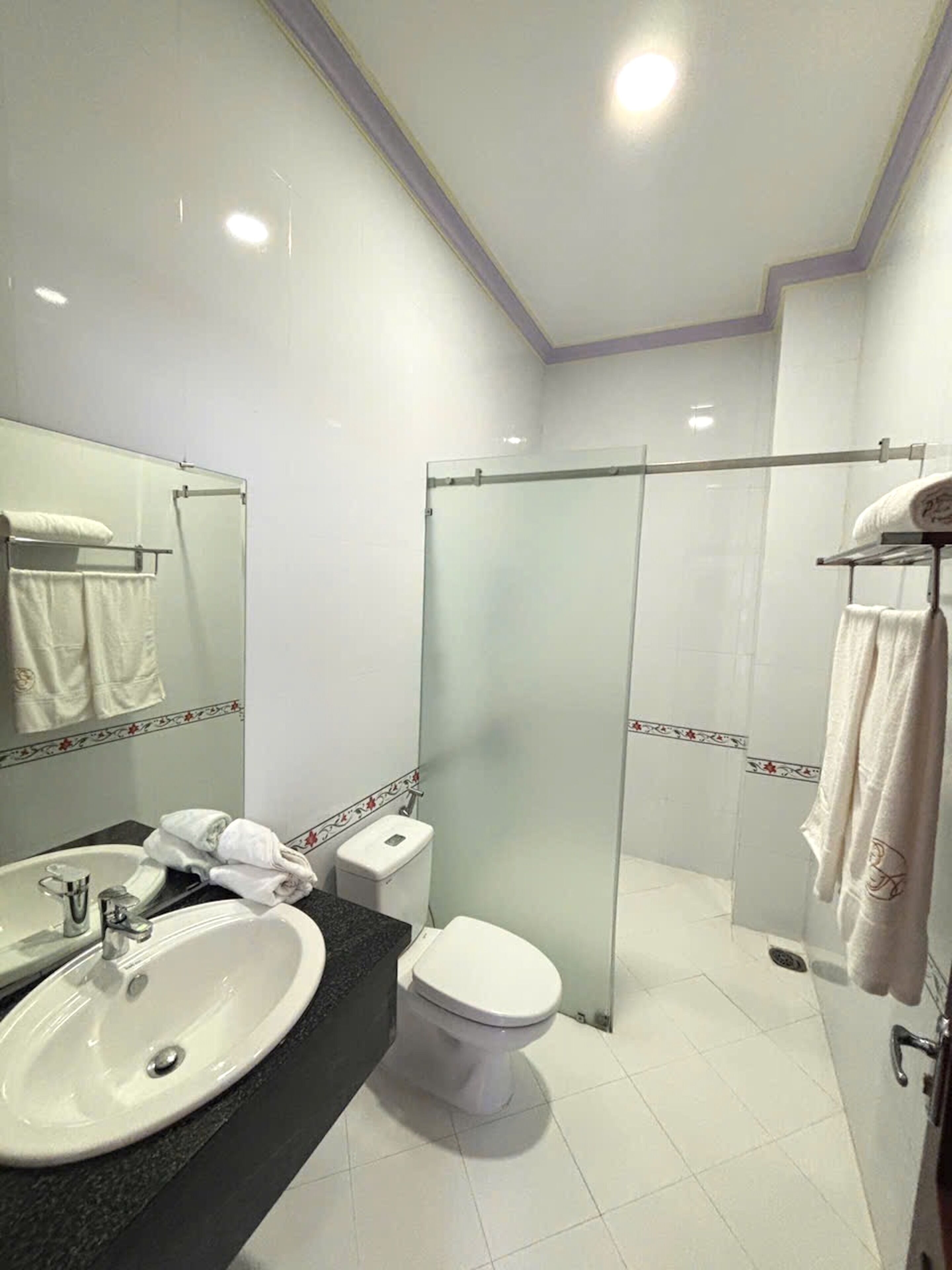 A modern bathroom with a glass shower enclosure, a white sink, and a toilet.