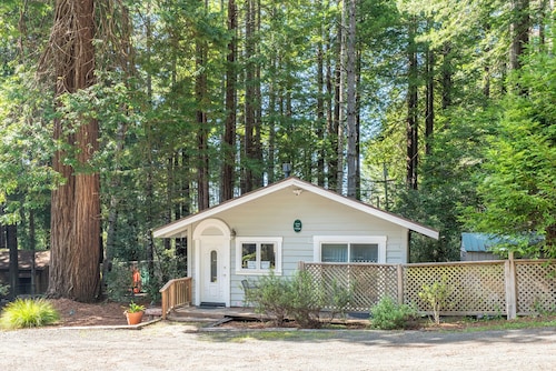 Green Tree Cottage | 1 BR Vacation Cabin among the coastal redwoods