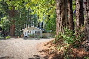 Une petite maison de plain-pied avec un porche à l’avant, entourée de grands arbres et bordée d’une allée en gravier.