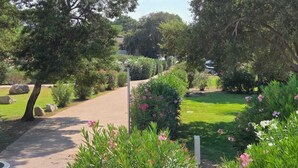 Um caminho no jardim com diversas plantas e árvores, céu claro e um edifício ao fundo.