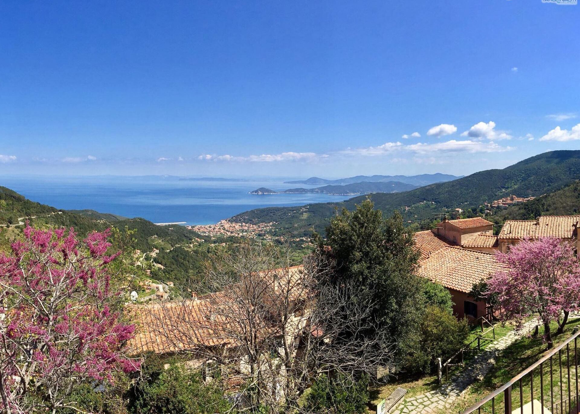 Un village côtier aux bâtiments aux toits de tuiles rouges, sous un ciel bleu azur, offrant une vue sur la mer.
