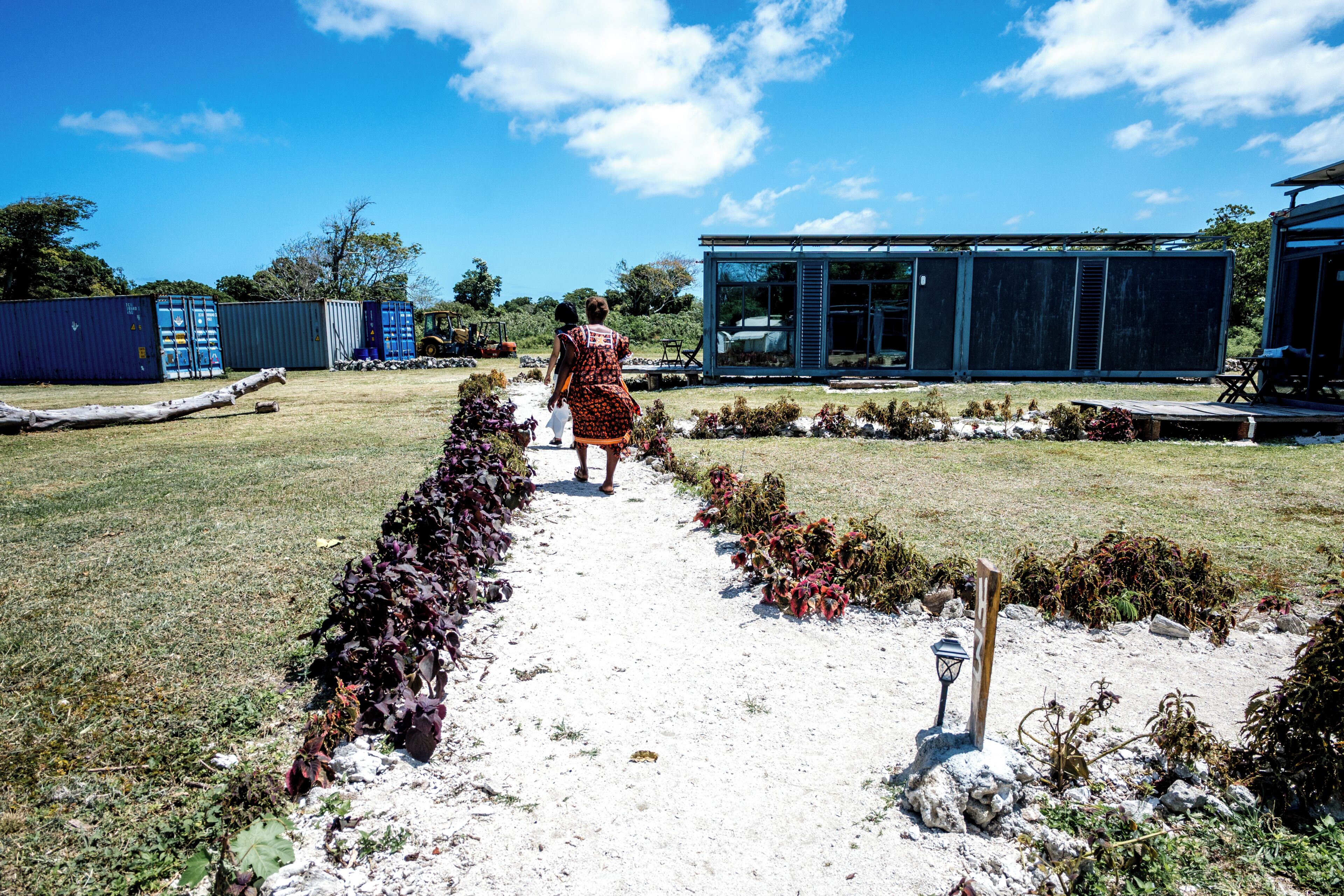 A pathway leading to a building with a glass facade, surrounded by a garden with various plants and a clear blue sky.