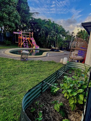 Shared Dormitory, 2 Bedrooms, Smoking, Patio | Garden - Room-backpacker Bunks and Queen Pool Cl (Cairns)