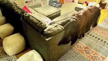 Shared Dormitory, 2 Bedrooms, Smoking, Patio | Living area