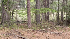 Une zone boisée avec des arbres, une souche d’arbre tombée et un panneau indiquant qu’il s’agit d’une propriété privée.