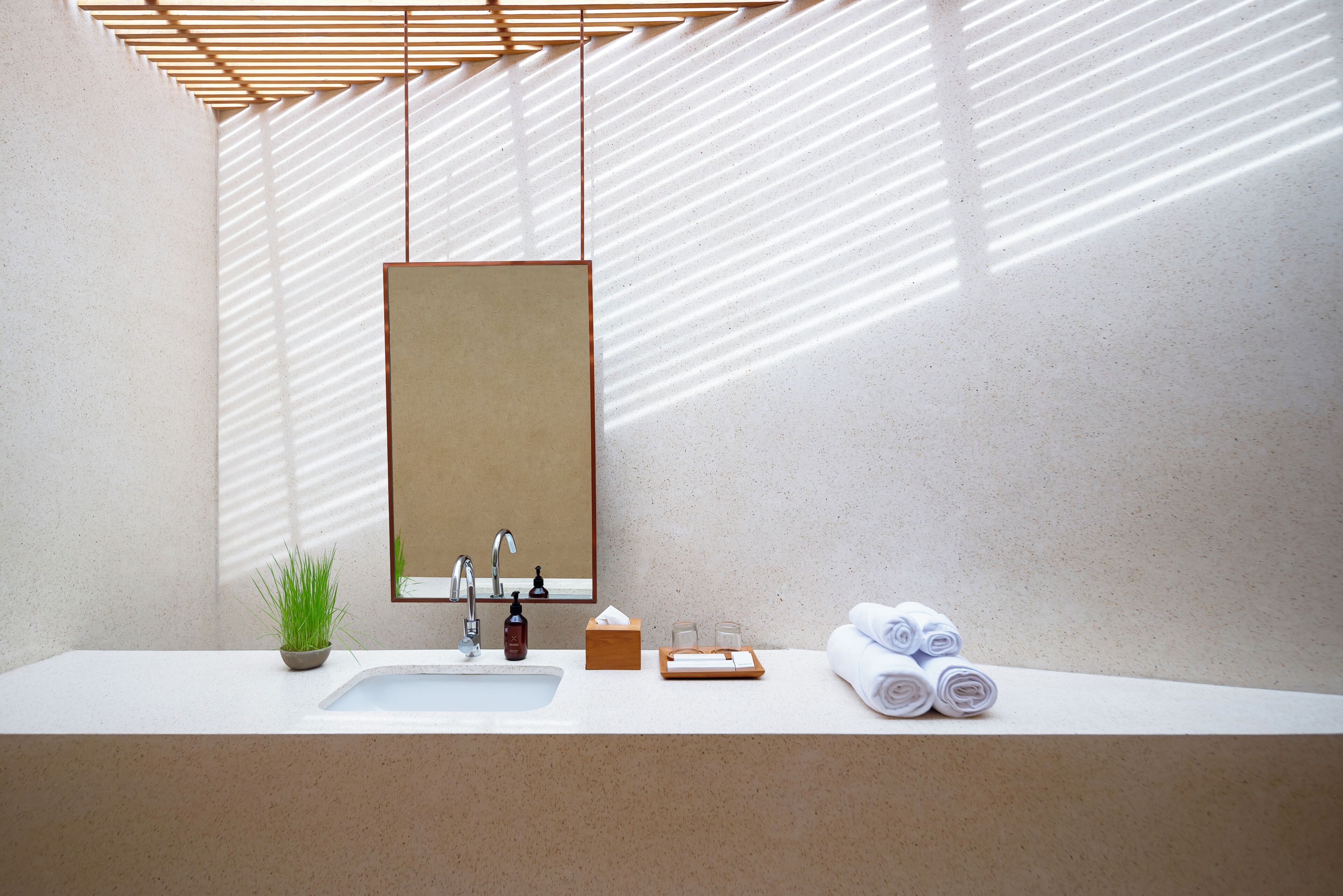 A bathroom with a white sink, a mirror, a towel rack, and a potted plant.
