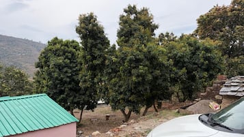 Área da propriedade