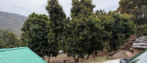 Área da propriedade