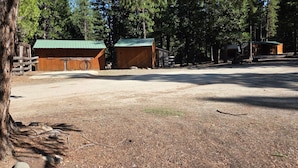A rustic cabin with a green roof, surrounded by a dirt area and dense trees.