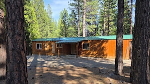 A cabin with a green roof, surrounded by tall pine trees.