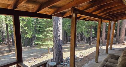 Cedar Soul Sanctuary: Your High Mountain Base Camp