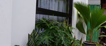 Kali Code Home