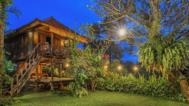 Ein rustikales Holzhaus mit Veranda, umgeben von üppiger Vegetation und einem klaren Nachthimmel.