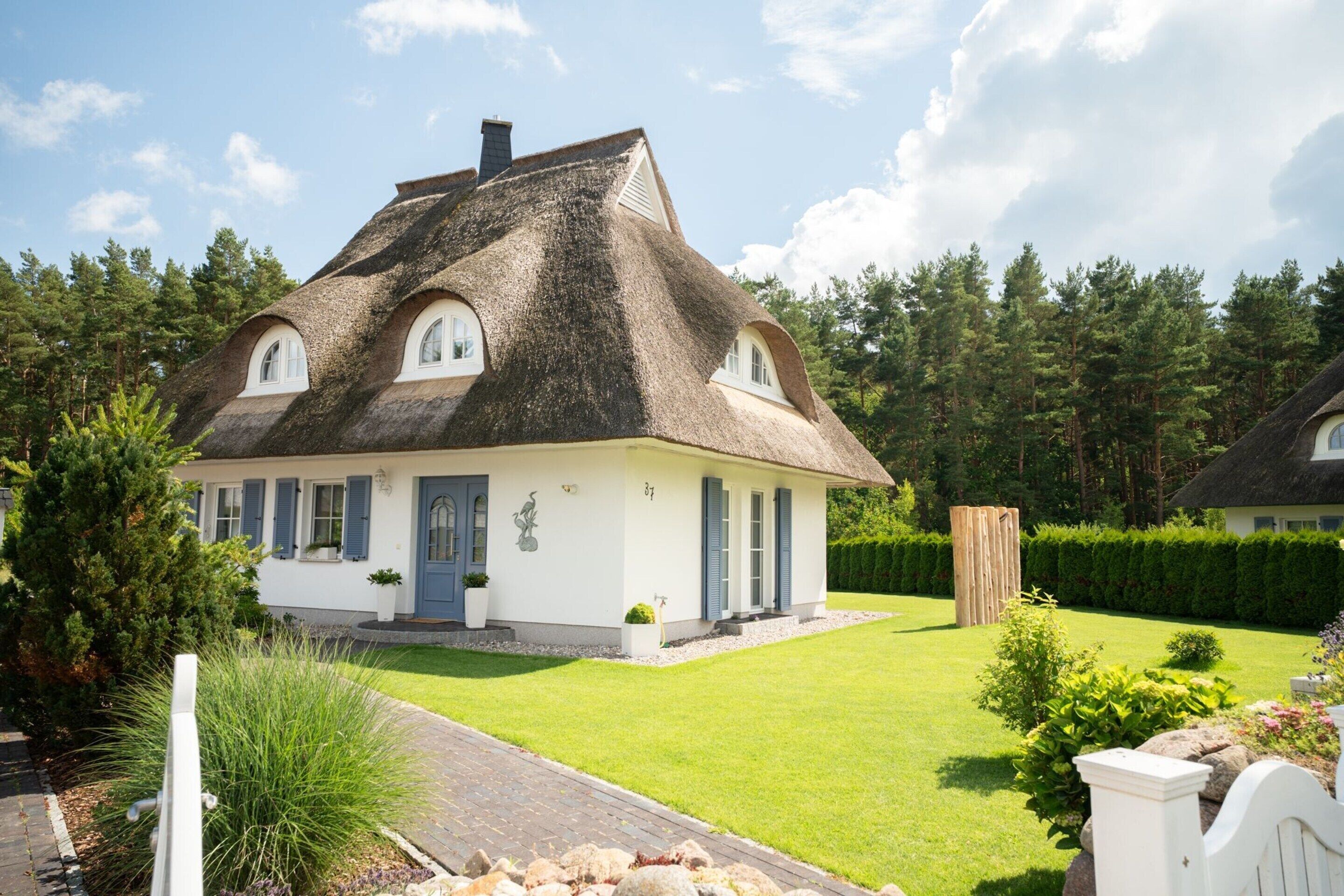A house with a thatched roof, white walls, and blue shutters.