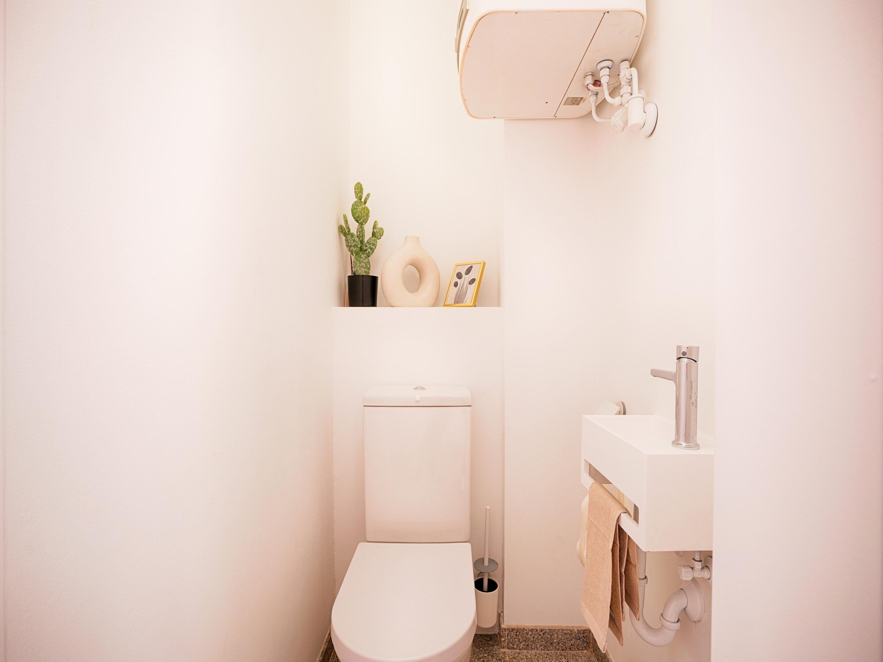 A small, white bathroom with a toilet, sink, and a shelf with a cactus and a picture frame.