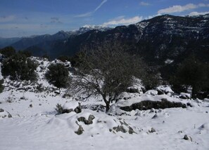 Paisaje nevado con un árbol en primer plano y montañas al fondo.