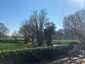 A rural landscape with trees, a hedge, and a paved path.