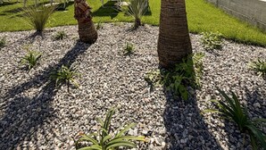 A landscaped area with palm trees, a pool, and a building with a balcony. - Pop Vibes - Ariom Apartments (Moniga del Garda)