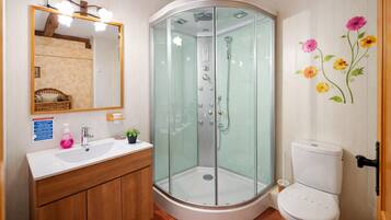 Shower, hair dryer, bidet