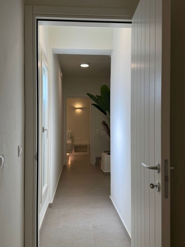 A hallway with a door on the left, a plant on the right, and a lit room in the background.