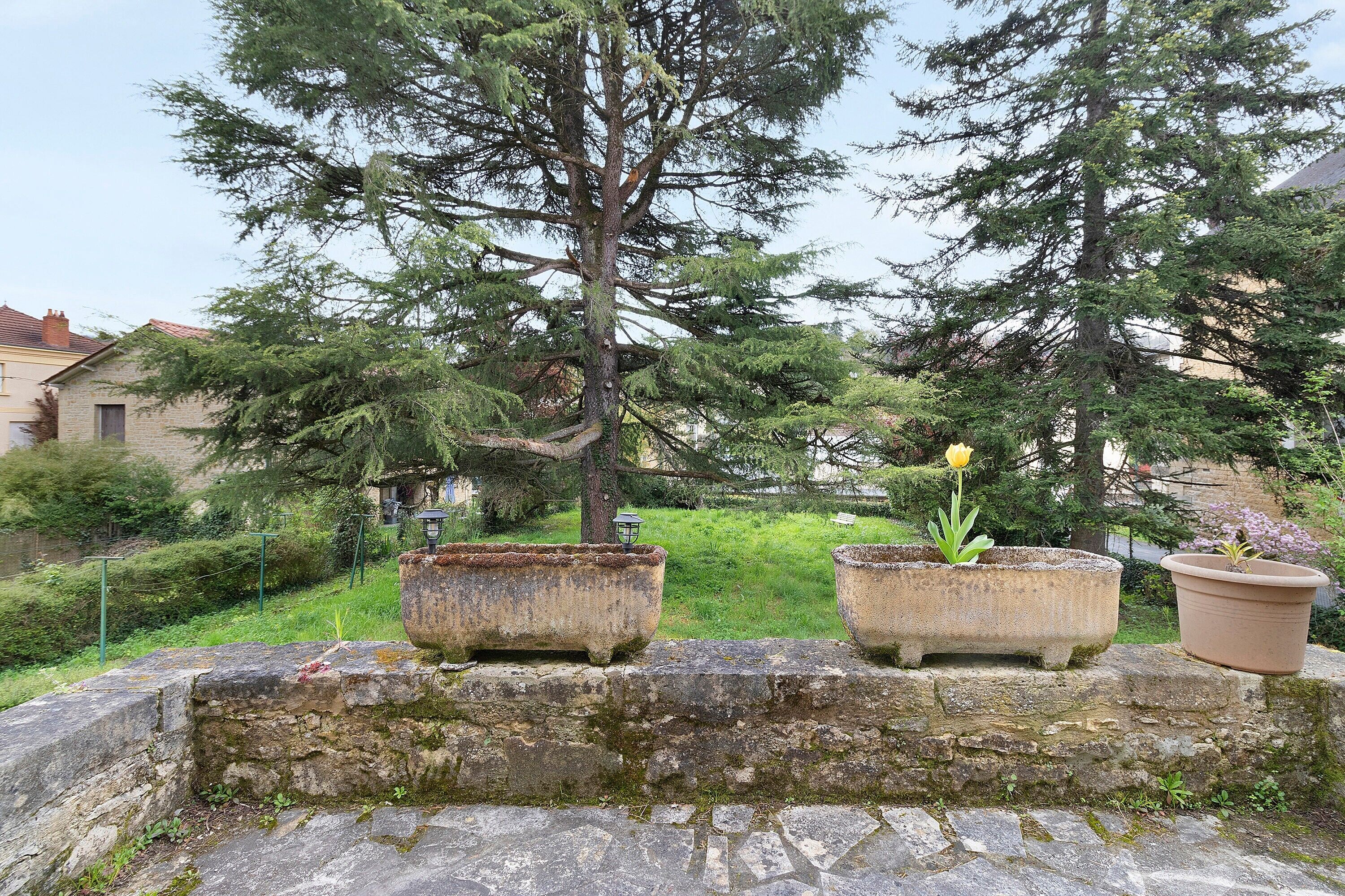 Un mur de pierres avec trois jardinières, dont une contenant une fleur jaune, et un grand arbre en arrière-plan.