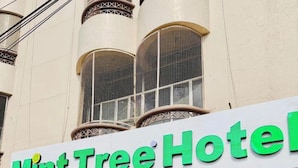 The exterior of the Mint Tree Hotel with a signboard, large windows, and potted plants in front. - The Mint Tree Hotels & Resorts (Bhopal)