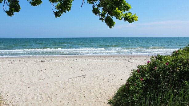Una platja amb cel blau i aigua tranquil·la.