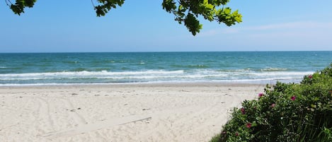 Nær stranden