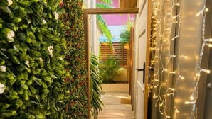A wooden pathway leading to a door with a green hedge on one side and string lights on the other. - Tiny house with private Jacuzzi (Saint-Paul)