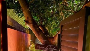 A tree-lined pathway leading to a building with a sign that reads 'Maison du Bonheur.' - Tiny house boucan with pool (Saint-Paul)