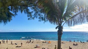 A beach with people sunbathing and walking, a palm tree, and the ocean. - Tiny house boucan with pool (Saint-Paul)