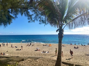 Uma praia com pessoas tomando sol e caminhando, uma palmeira e o oceano.