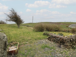 A rural landscape with a stone wall, a tree, and a grassy field. - South Kirklauchline Farm (Stranraer)